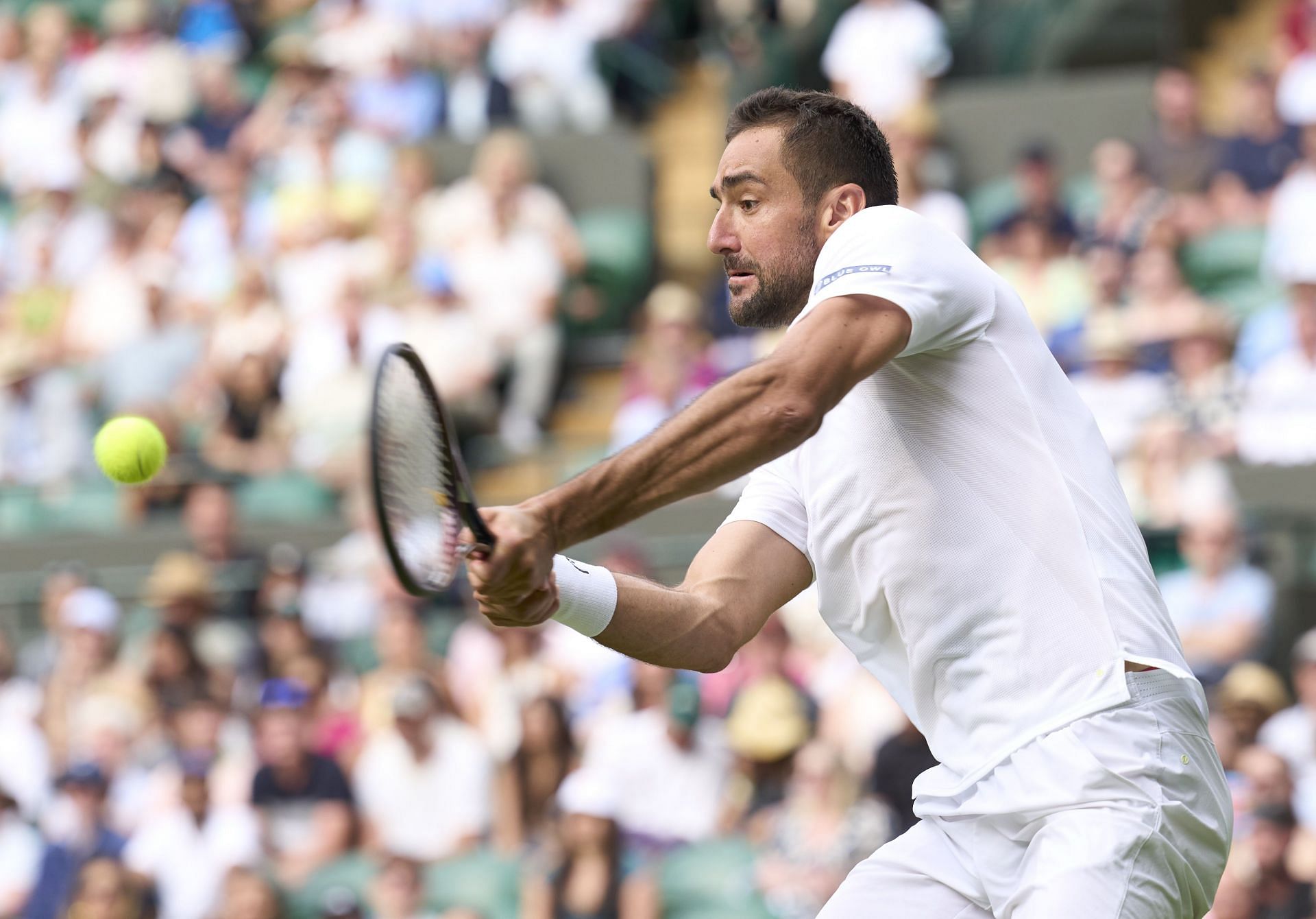 In Picture: Cilic in action (Getty)